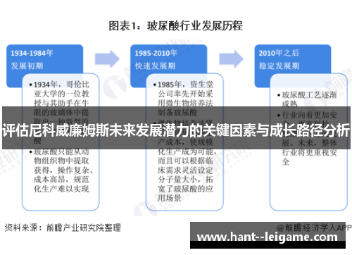 评估尼科威廉姆斯未来发展潜力的关键因素与成长路径分析 评估尼科威廉姆斯未来发展潜力的关键因素与成长路径分析
